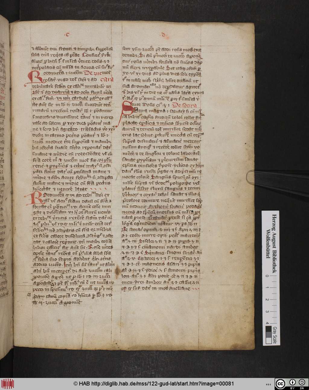 http://diglib.hab.de/mss/122-gud-lat/00081.jpg