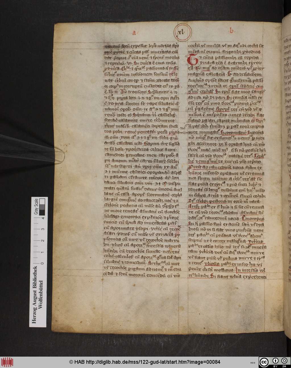 http://diglib.hab.de/mss/122-gud-lat/00084.jpg