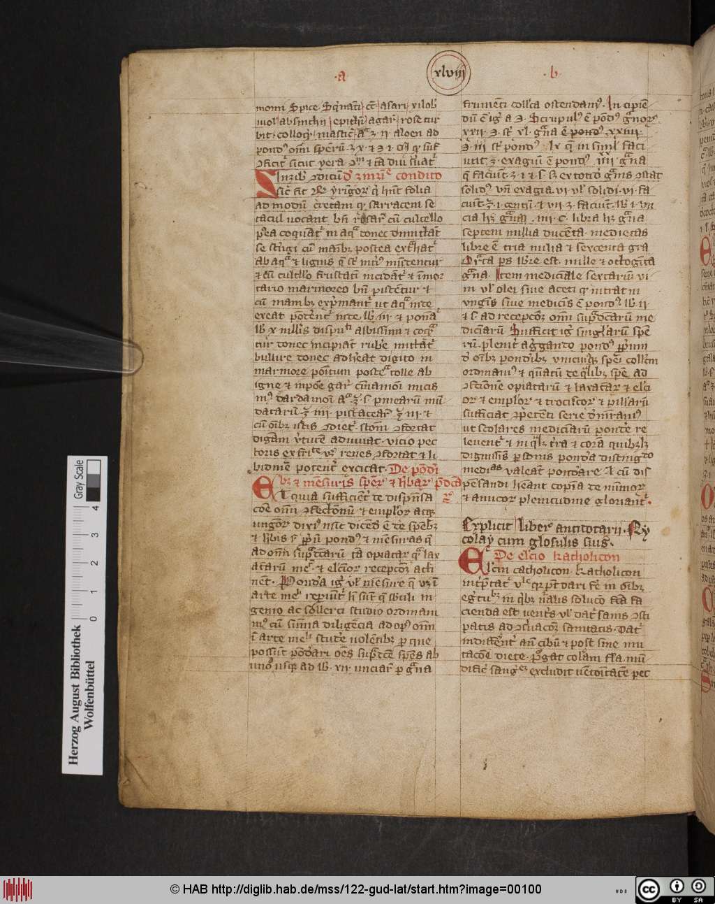 http://diglib.hab.de/mss/122-gud-lat/00100.jpg