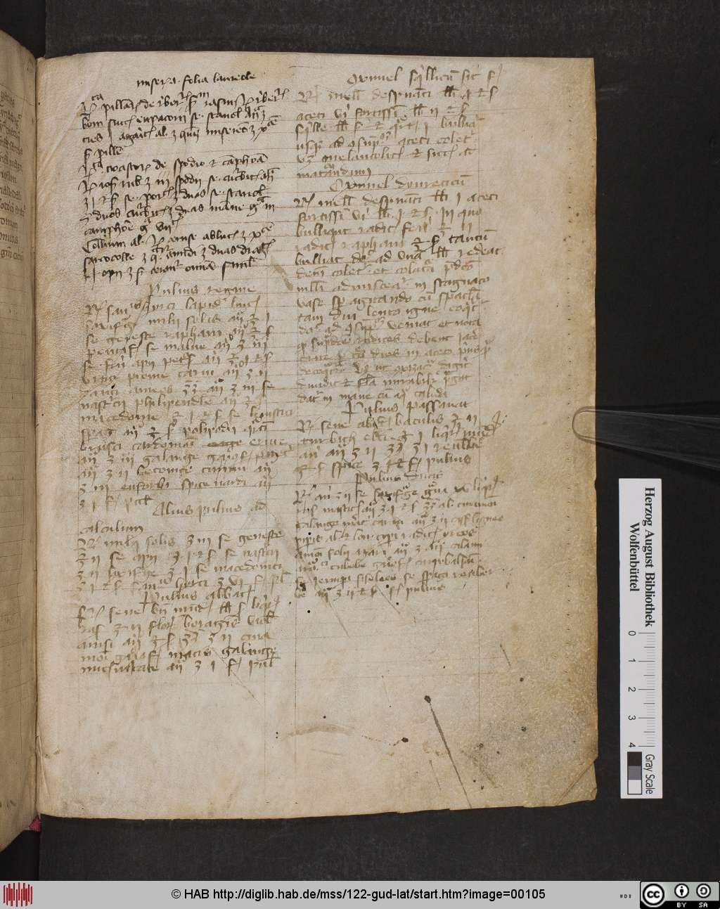 http://diglib.hab.de/mss/122-gud-lat/00105.jpg