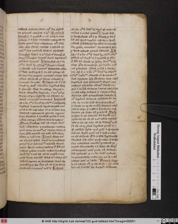 http://diglib.hab.de/mss/122-gud-lat/min/00051.jpg