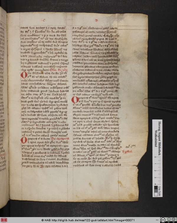 http://diglib.hab.de/mss/122-gud-lat/min/00071.jpg
