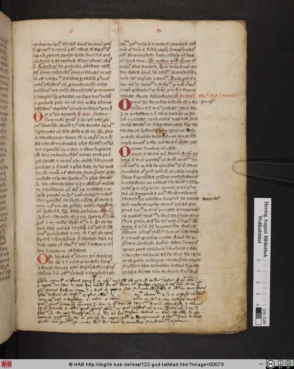 http://diglib.hab.de/mss/122-gud-lat/min/00073.jpg