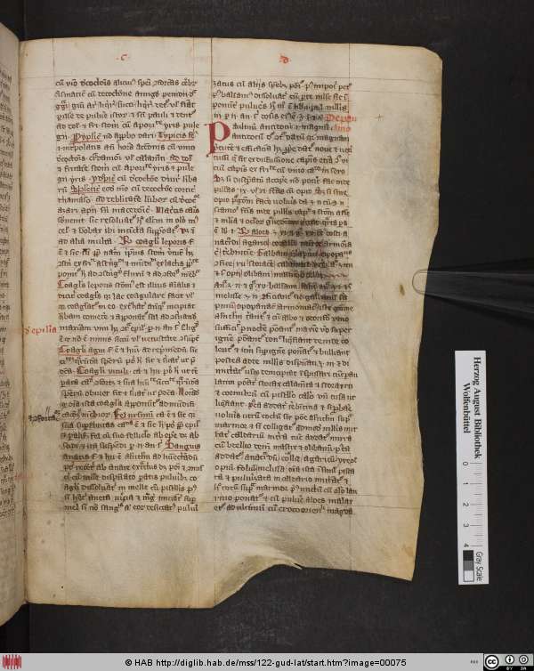 http://diglib.hab.de/mss/122-gud-lat/min/00075.jpg