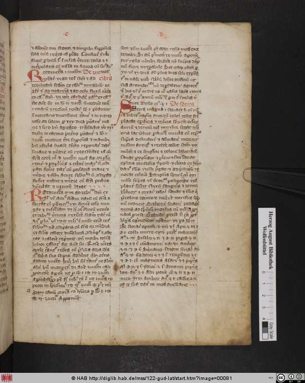 http://diglib.hab.de/mss/122-gud-lat/min/00081.jpg