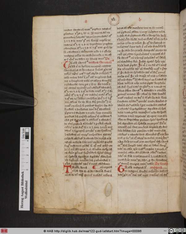http://diglib.hab.de/mss/122-gud-lat/min/00086.jpg