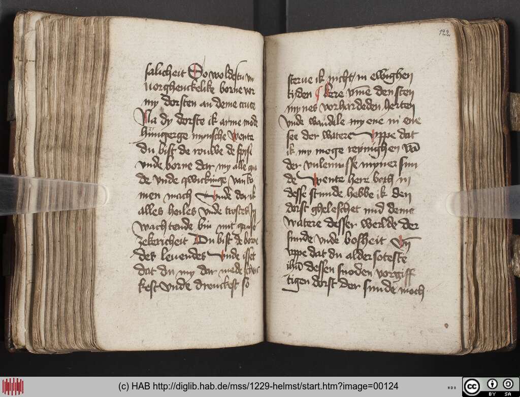 http://diglib.hab.de/mss/1229-helmst/00124.jpg