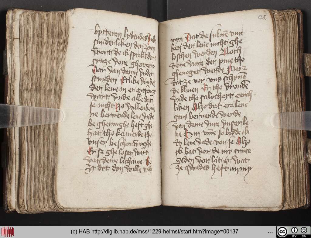 http://diglib.hab.de/mss/1229-helmst/00137.jpg