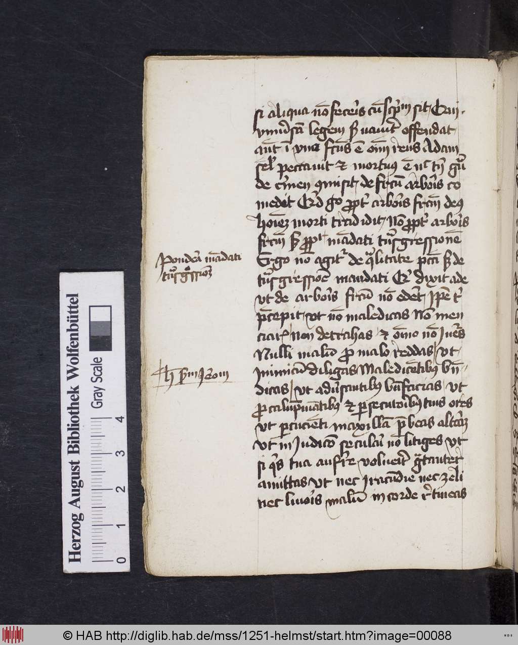 http://diglib.hab.de/mss/1251-helmst/00088.jpg