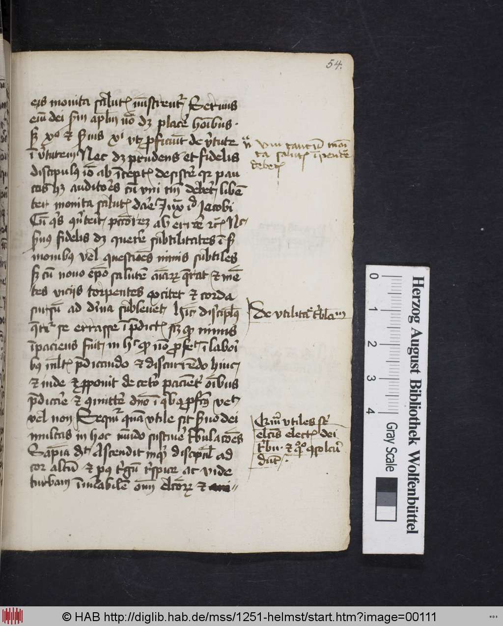 http://diglib.hab.de/mss/1251-helmst/00111.jpg