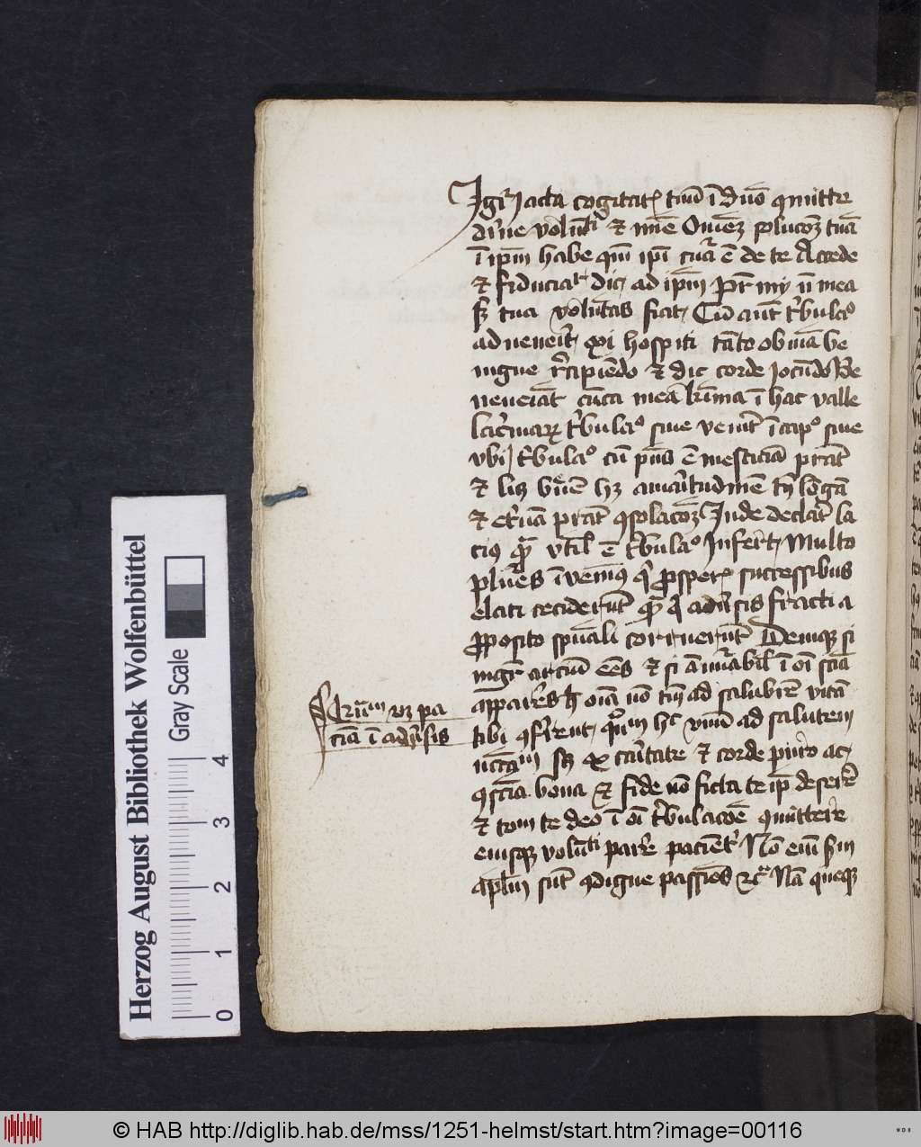 http://diglib.hab.de/mss/1251-helmst/00116.jpg