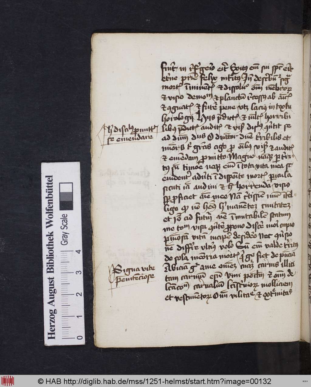 http://diglib.hab.de/mss/1251-helmst/00132.jpg