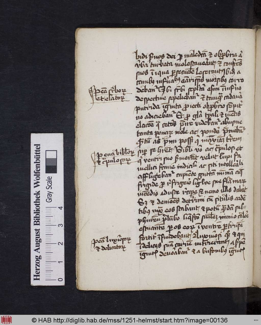 http://diglib.hab.de/mss/1251-helmst/00136.jpg