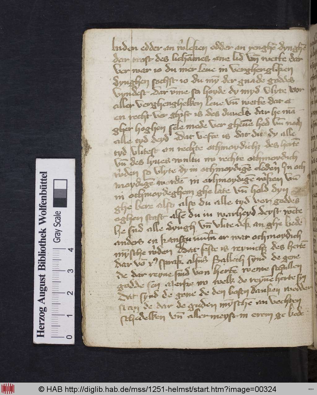 http://diglib.hab.de/mss/1251-helmst/00324.jpg
