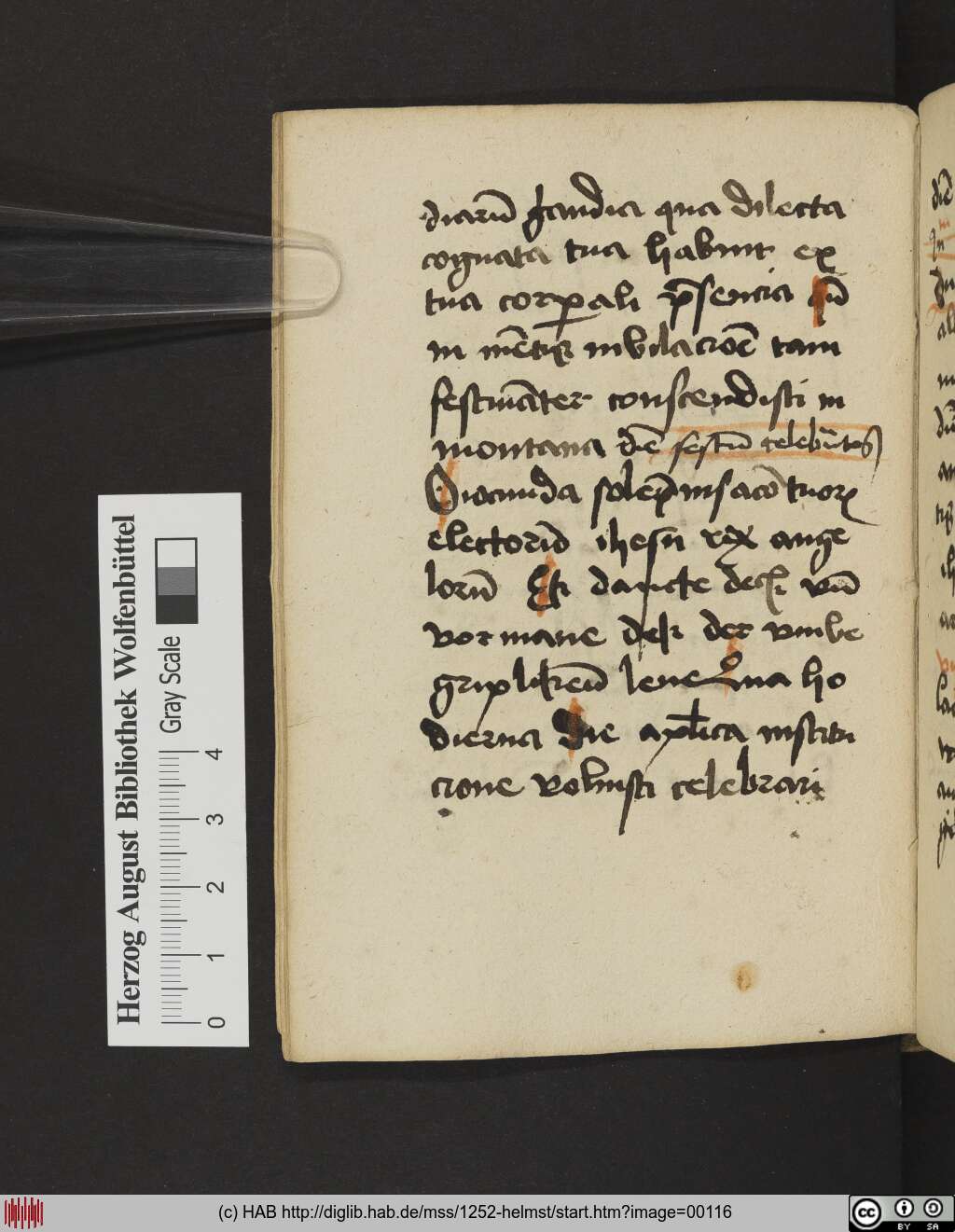 http://diglib.hab.de/mss/1252-helmst/00116.jpg