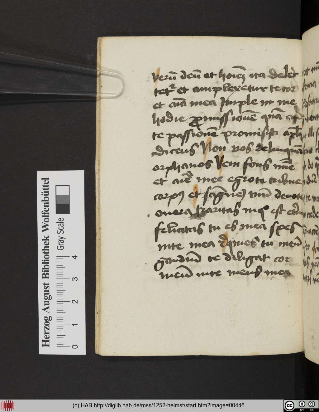 http://diglib.hab.de/mss/1252-helmst/00446.jpg
