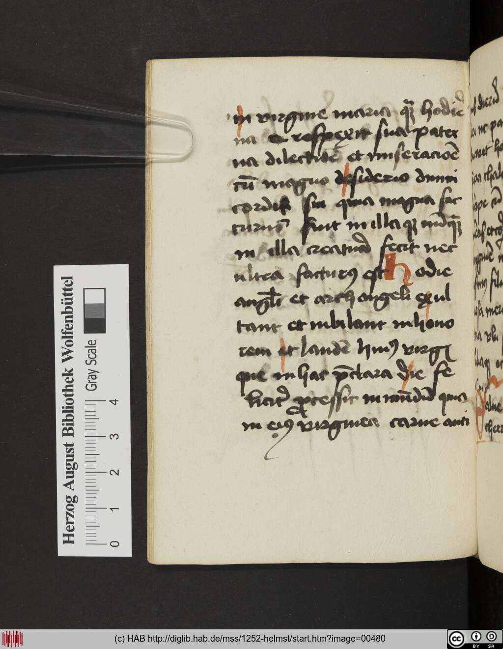 http://diglib.hab.de/mss/1252-helmst/00480.jpg