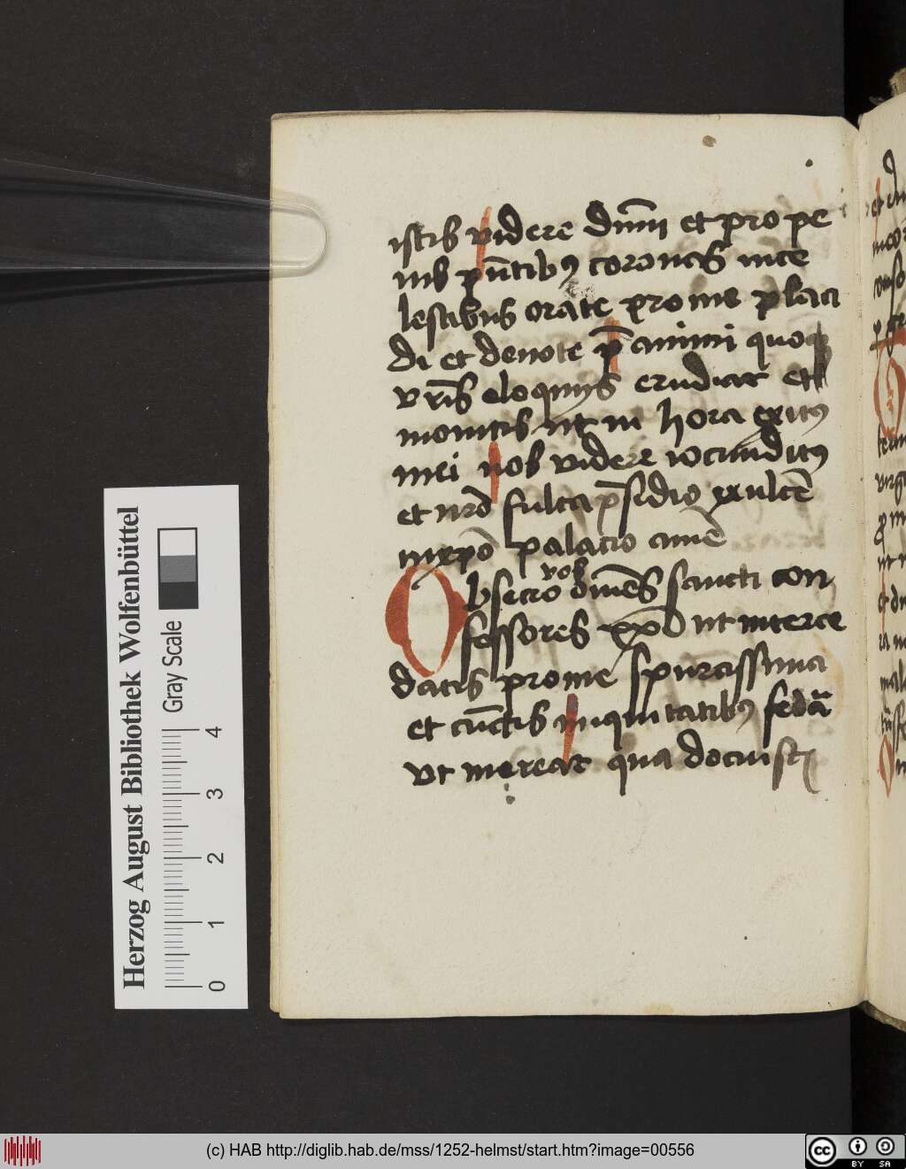 http://diglib.hab.de/mss/1252-helmst/00556.jpg