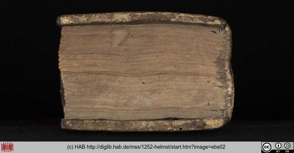 http://diglib.hab.de/mss/1252-helmst/ebs02.jpg