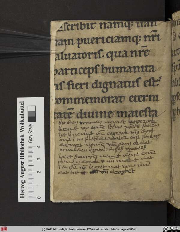 http://diglib.hab.de/mss/1252-helmst/min/00596.jpg