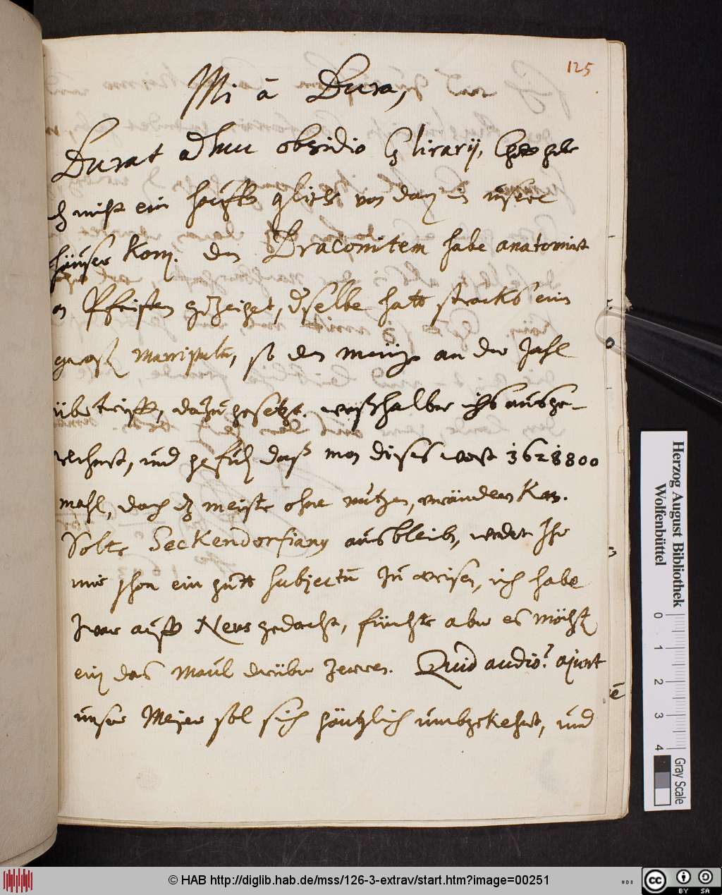 http://diglib.hab.de/mss/126-3-extrav/00251.jpg