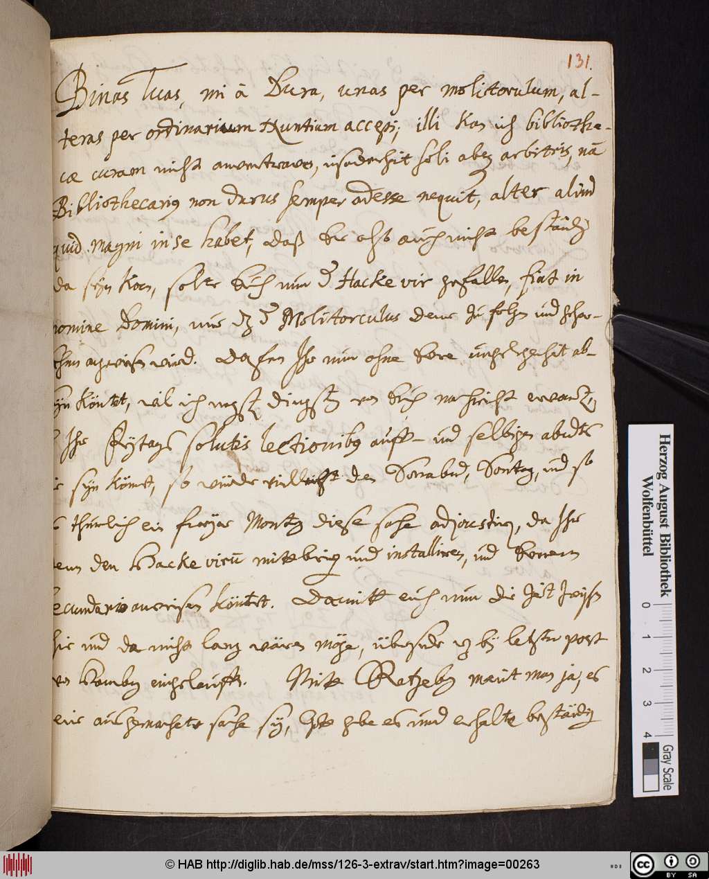 http://diglib.hab.de/mss/126-3-extrav/00263.jpg