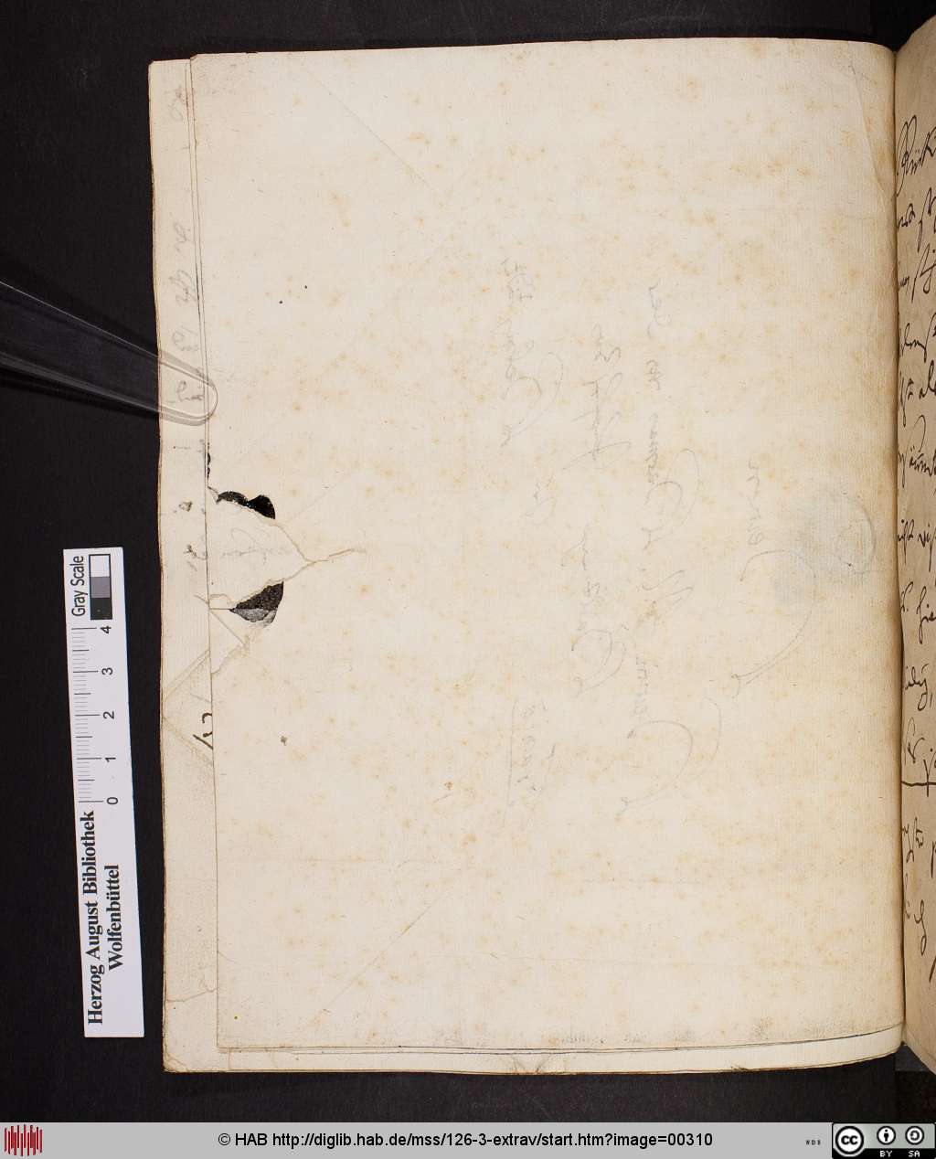 http://diglib.hab.de/mss/126-3-extrav/00310.jpg