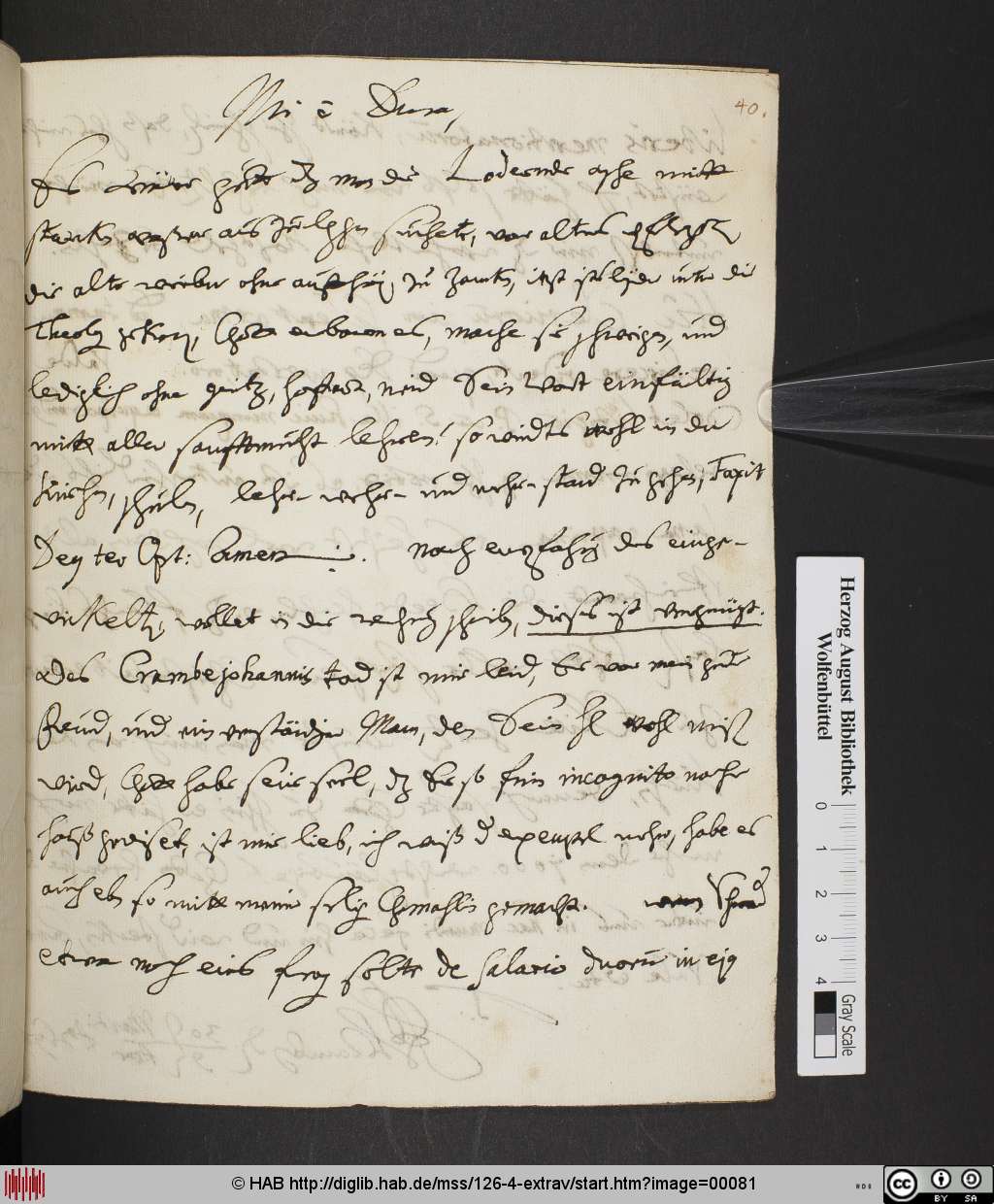 http://diglib.hab.de/mss/126-4-extrav/00081.jpg