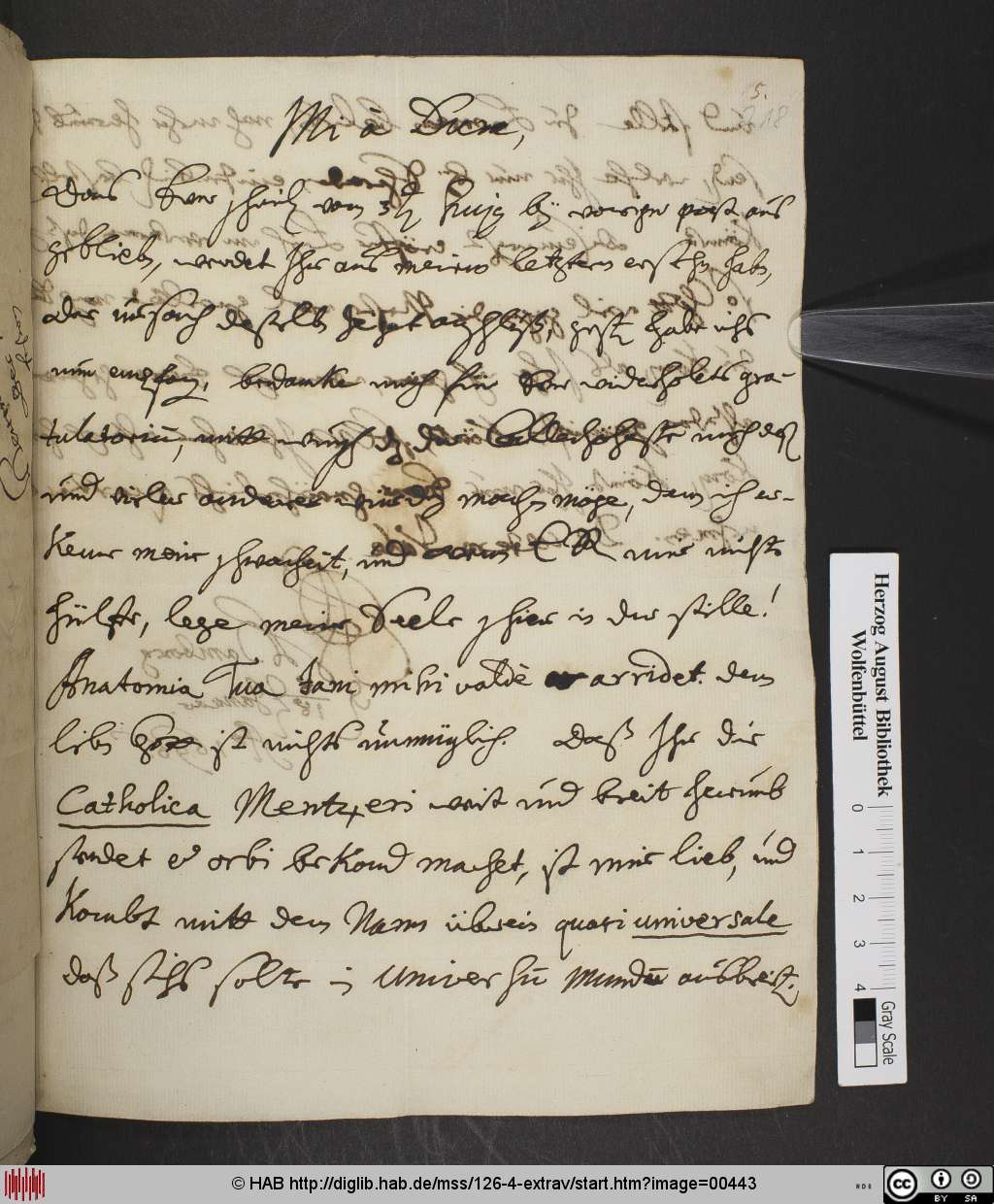 http://diglib.hab.de/mss/126-4-extrav/00443.jpg
