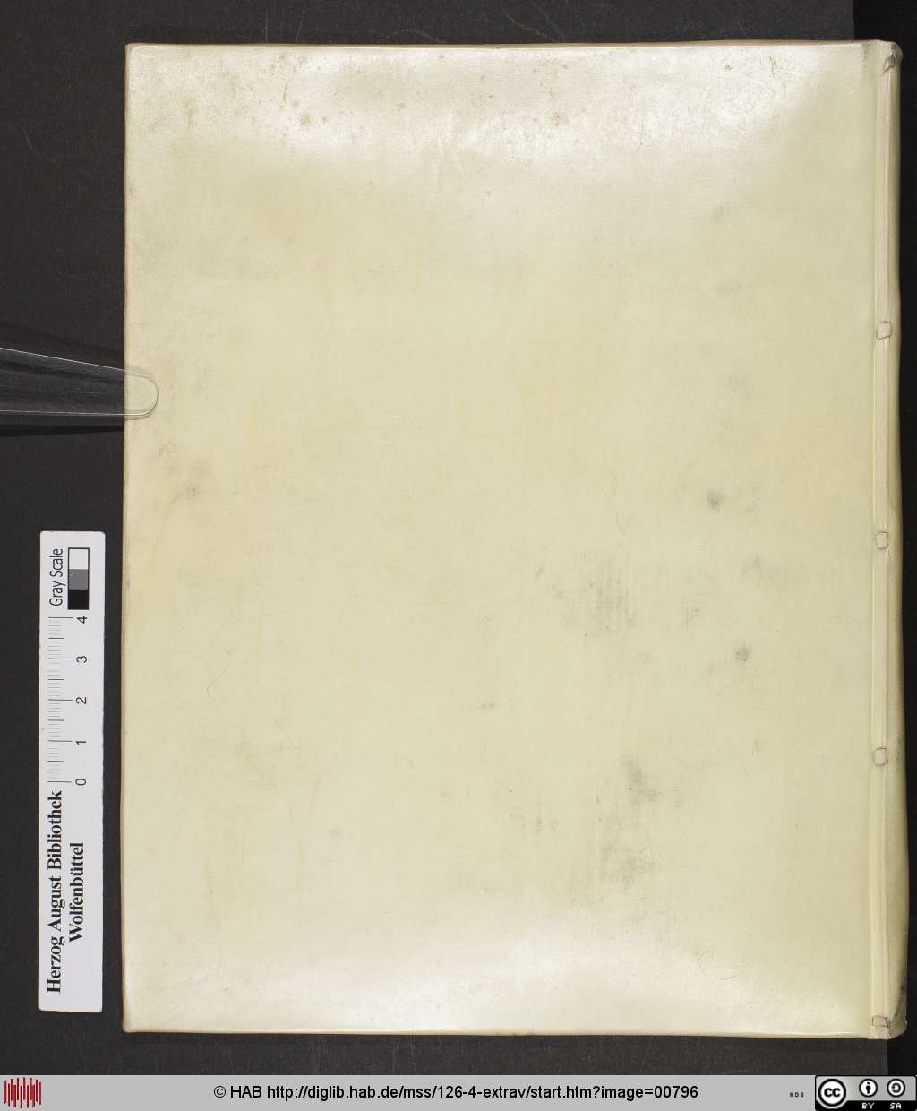 http://diglib.hab.de/mss/126-4-extrav/00796.jpg