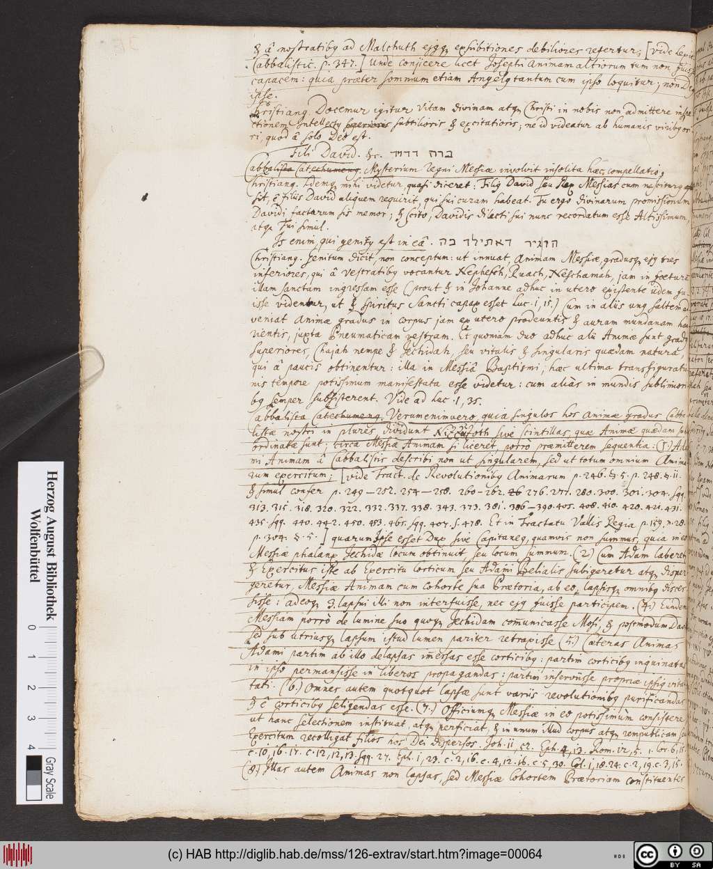 http://diglib.hab.de/mss/126-extrav/00064.jpg