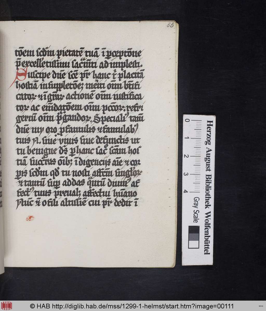 http://diglib.hab.de/mss/1299-1-helmst/00111.jpg
