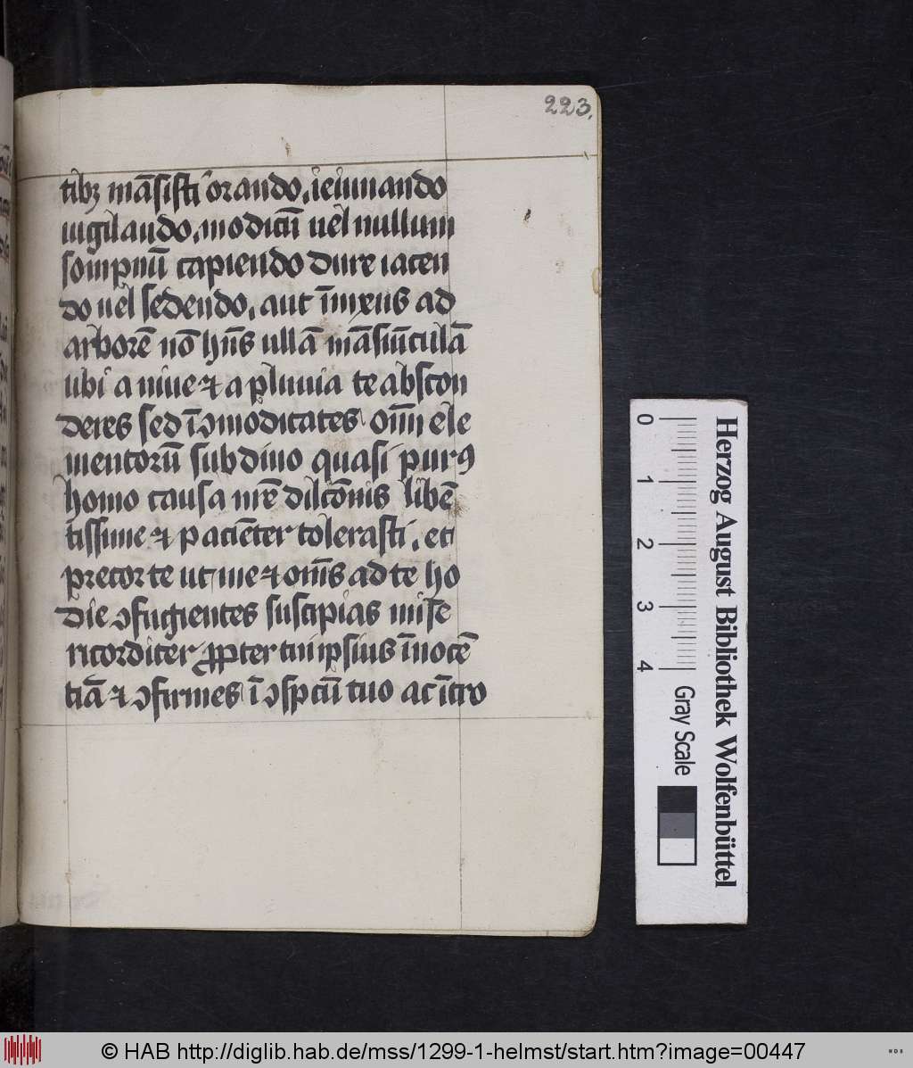 http://diglib.hab.de/mss/1299-1-helmst/00447.jpg