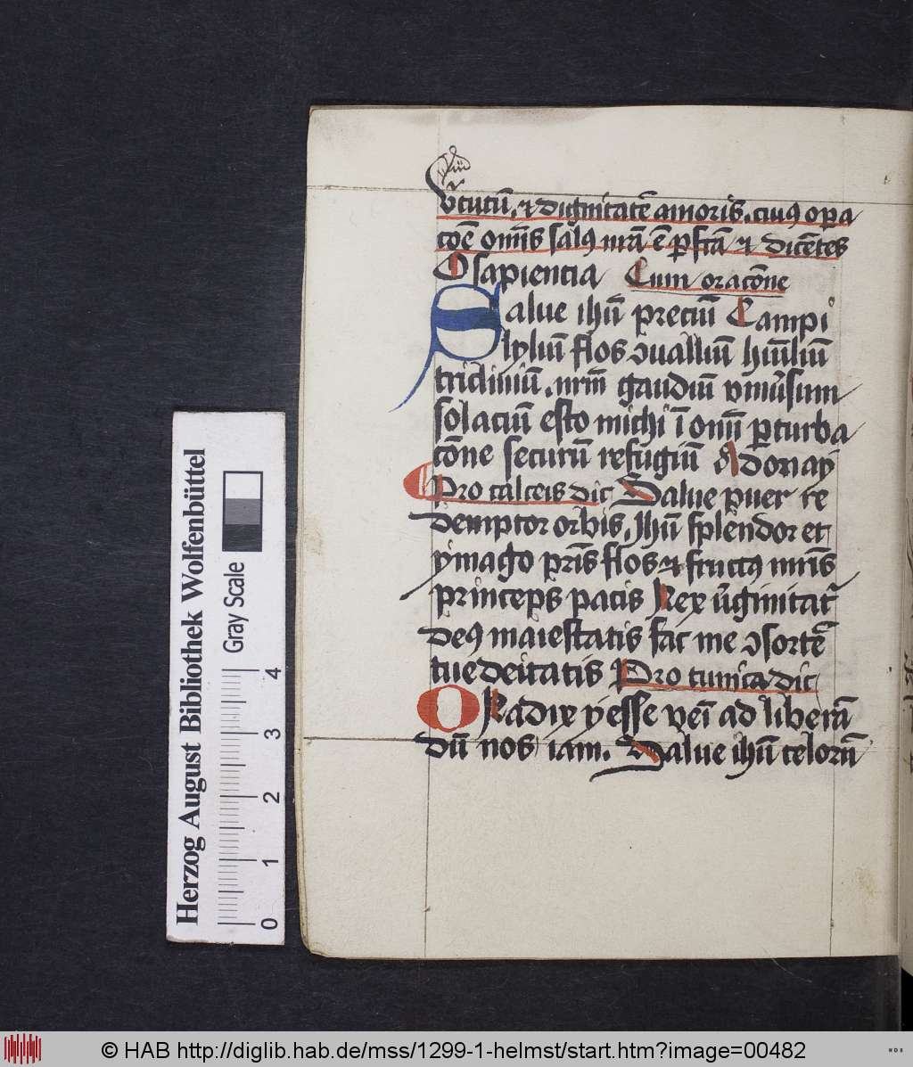 http://diglib.hab.de/mss/1299-1-helmst/00482.jpg