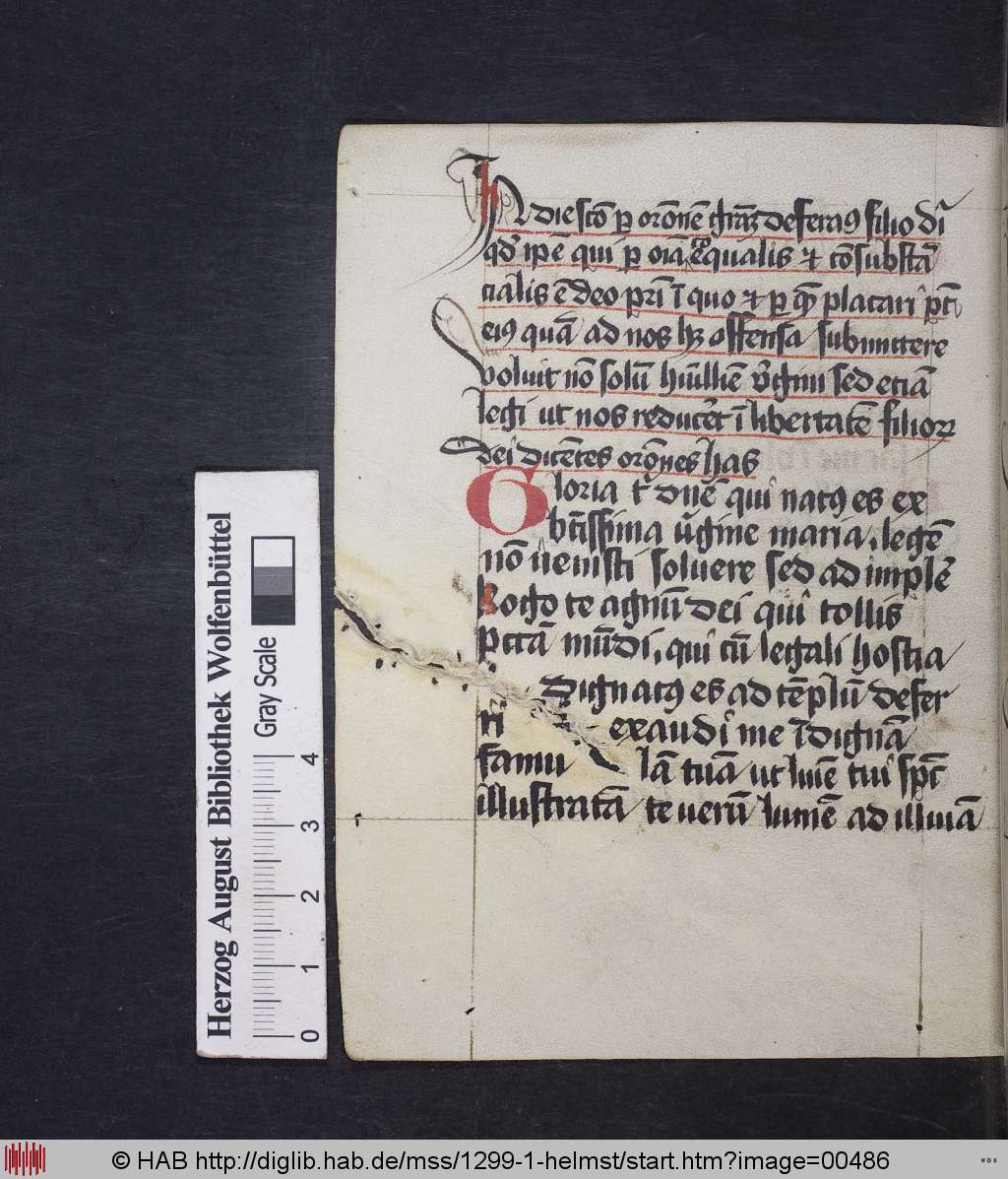 http://diglib.hab.de/mss/1299-1-helmst/00486.jpg