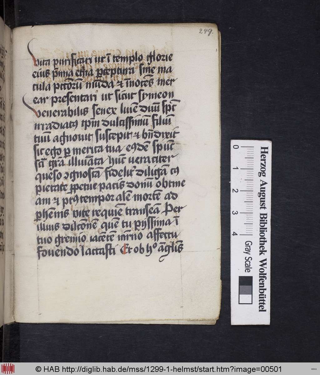 http://diglib.hab.de/mss/1299-1-helmst/00501.jpg
