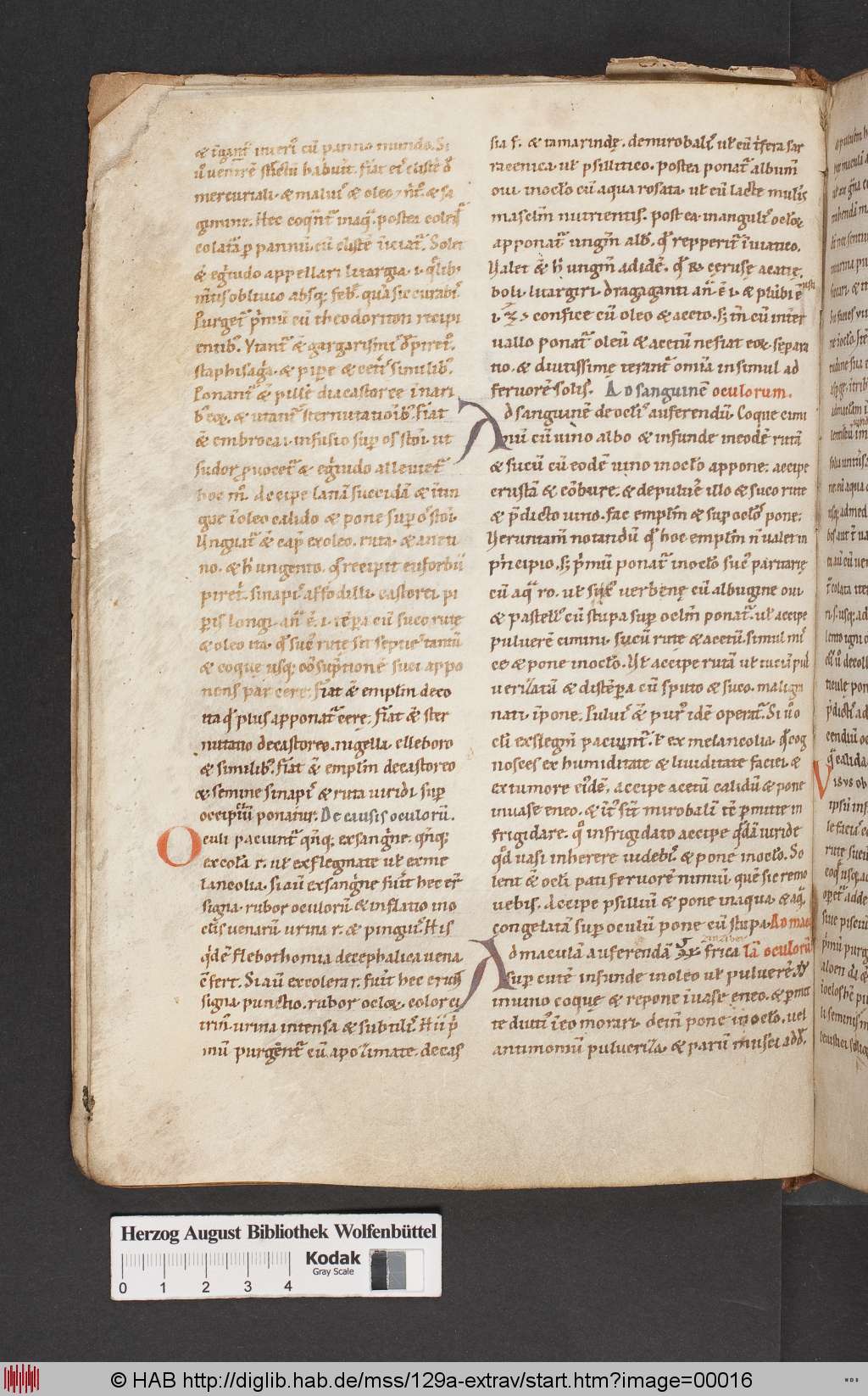 http://diglib.hab.de/mss/129a-extrav/00016.jpg