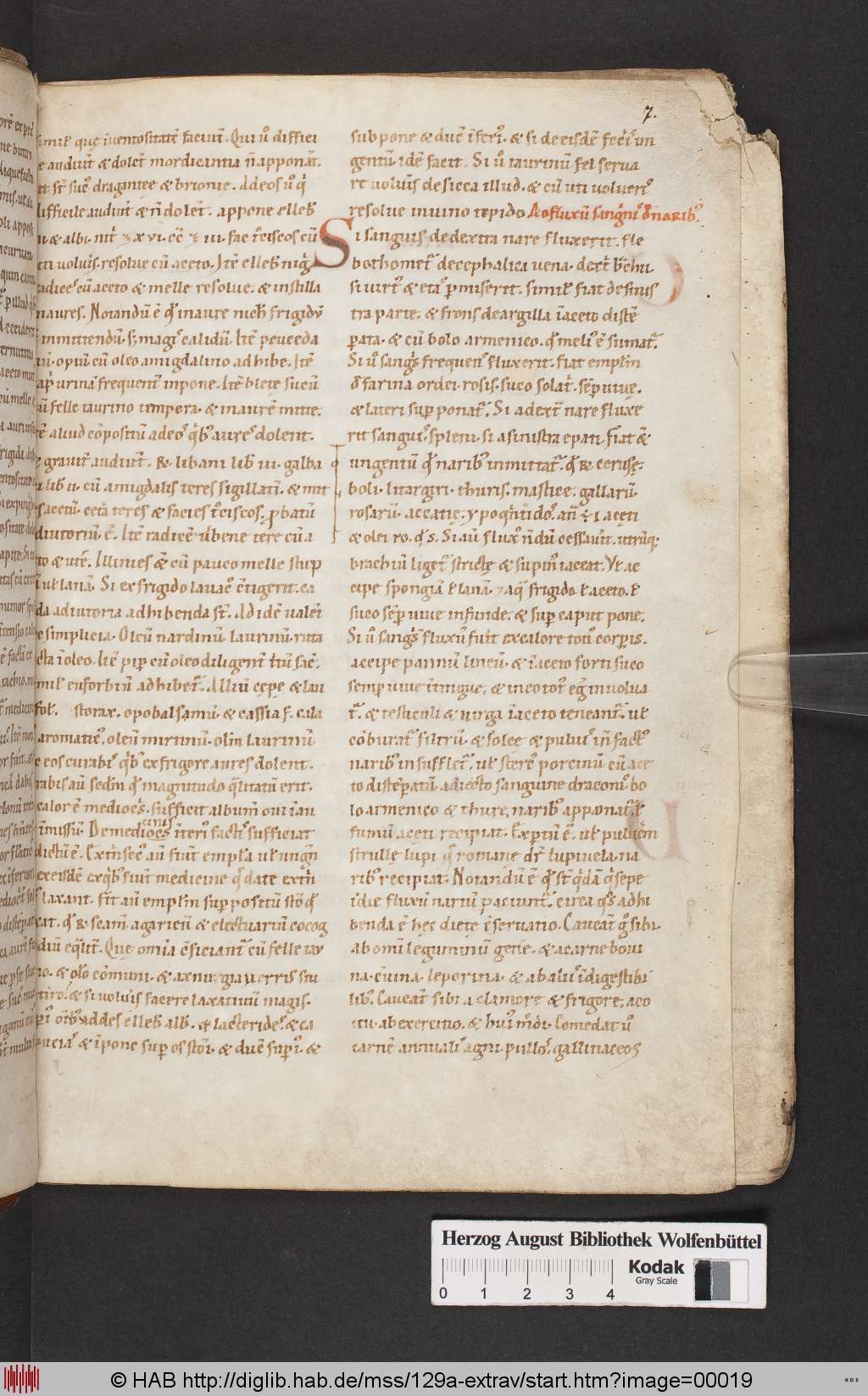 http://diglib.hab.de/mss/129a-extrav/00019.jpg