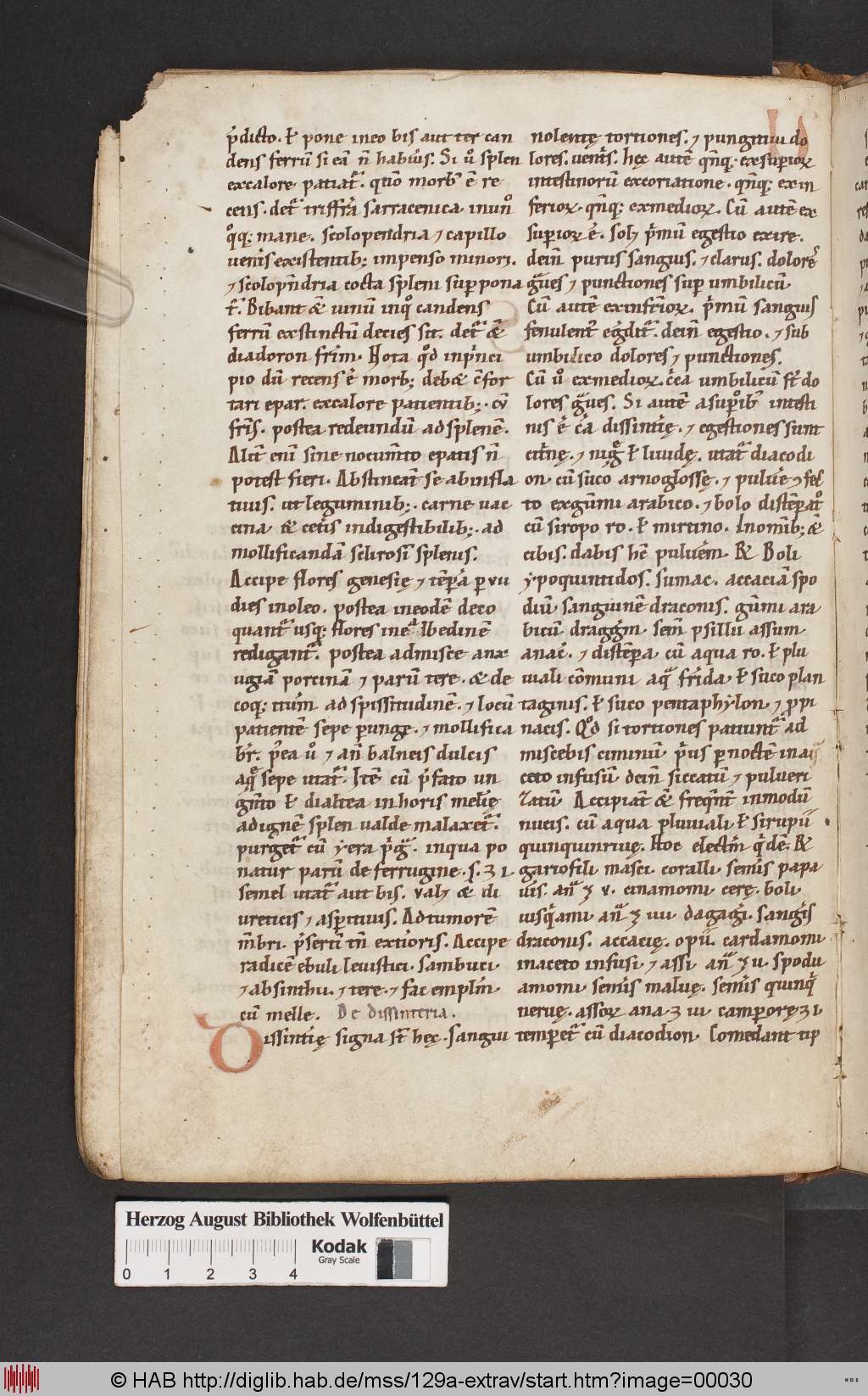 http://diglib.hab.de/mss/129a-extrav/00030.jpg