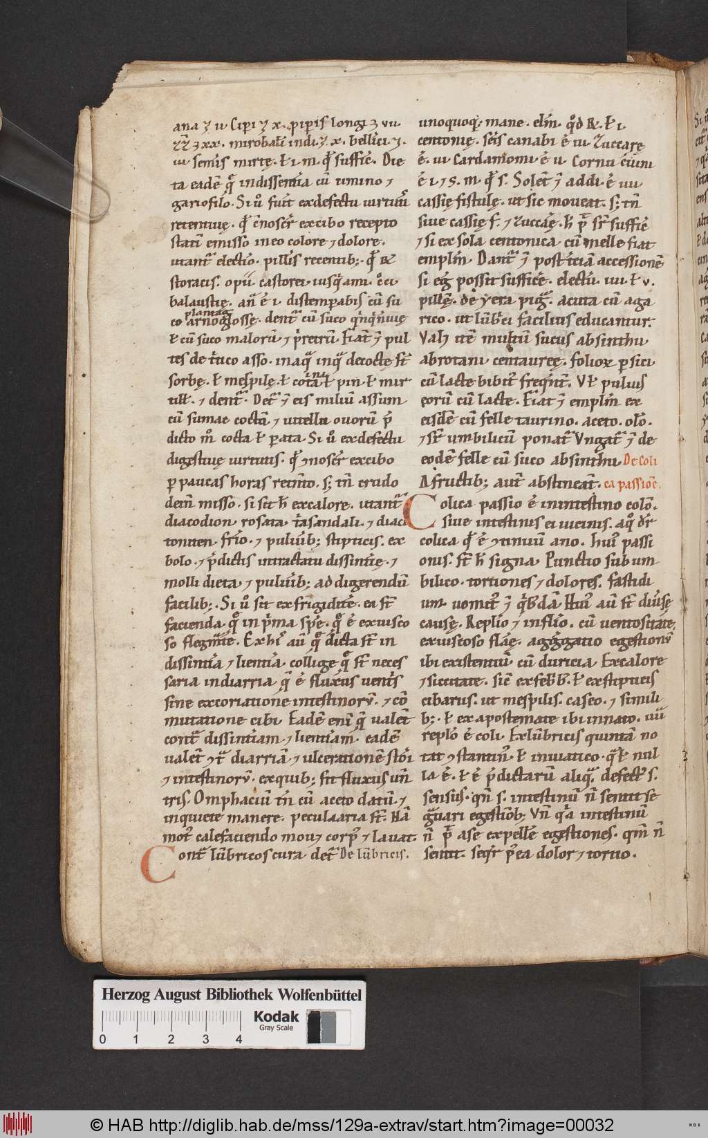 http://diglib.hab.de/mss/129a-extrav/00032.jpg
