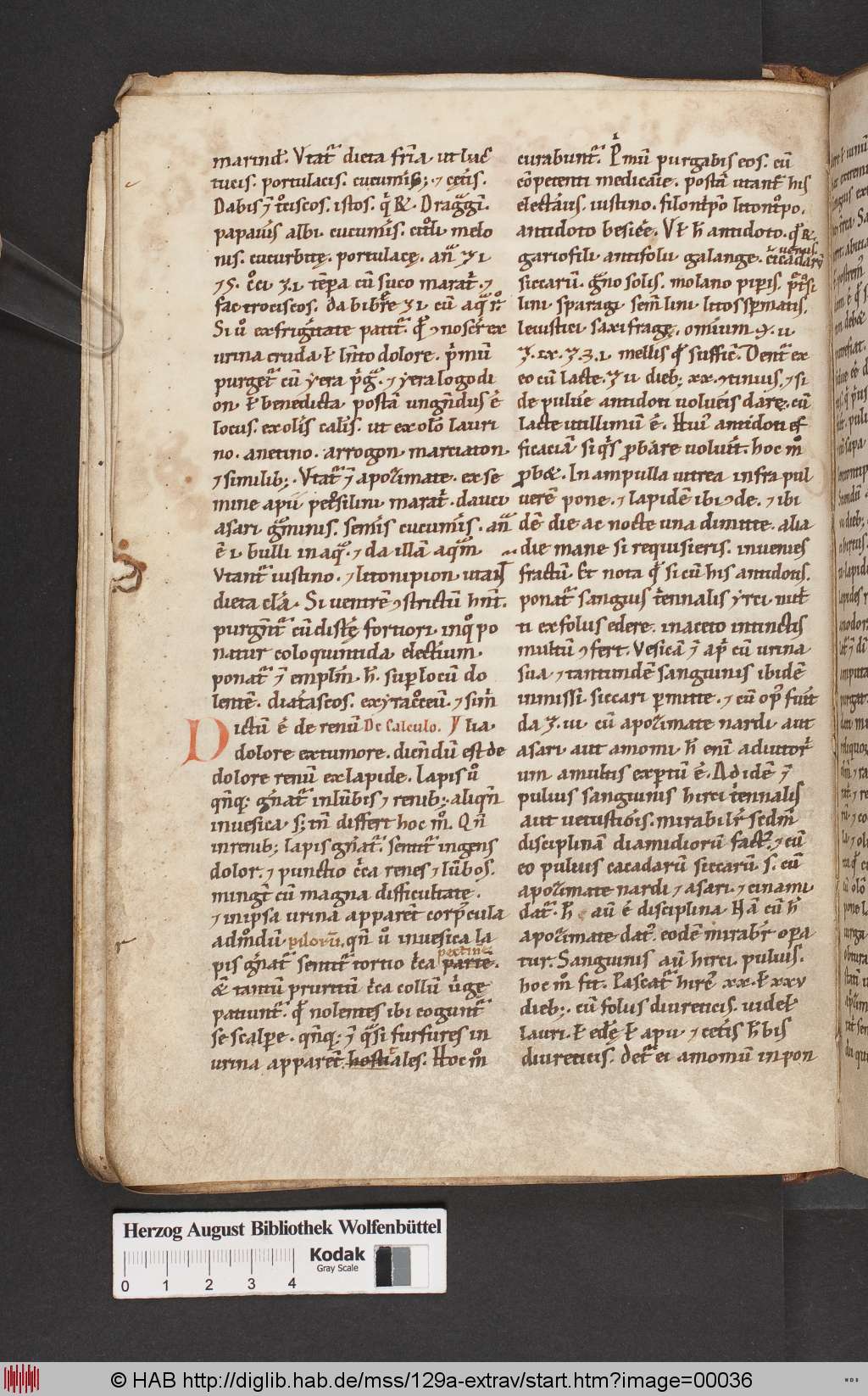 http://diglib.hab.de/mss/129a-extrav/00036.jpg