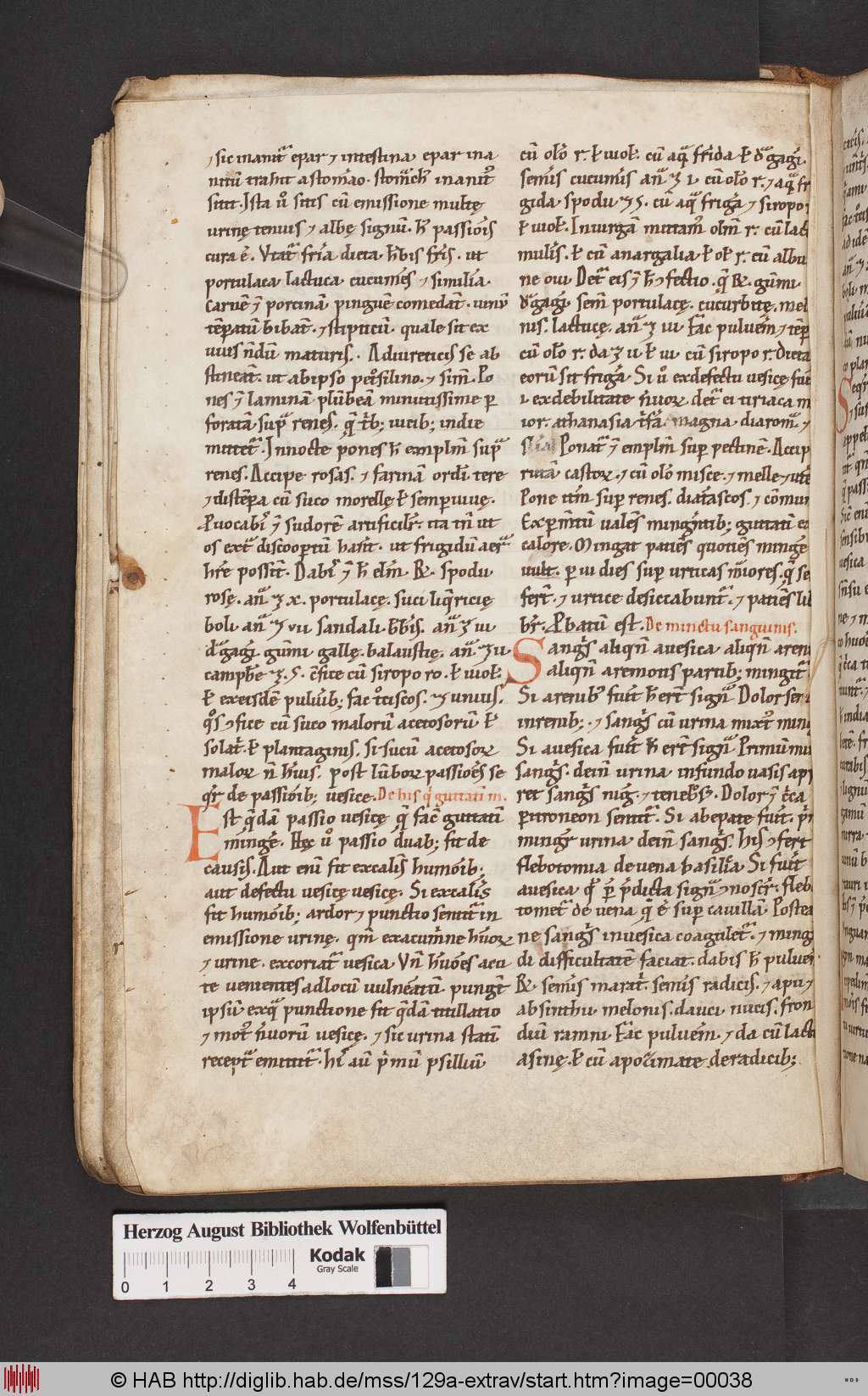 http://diglib.hab.de/mss/129a-extrav/00038.jpg