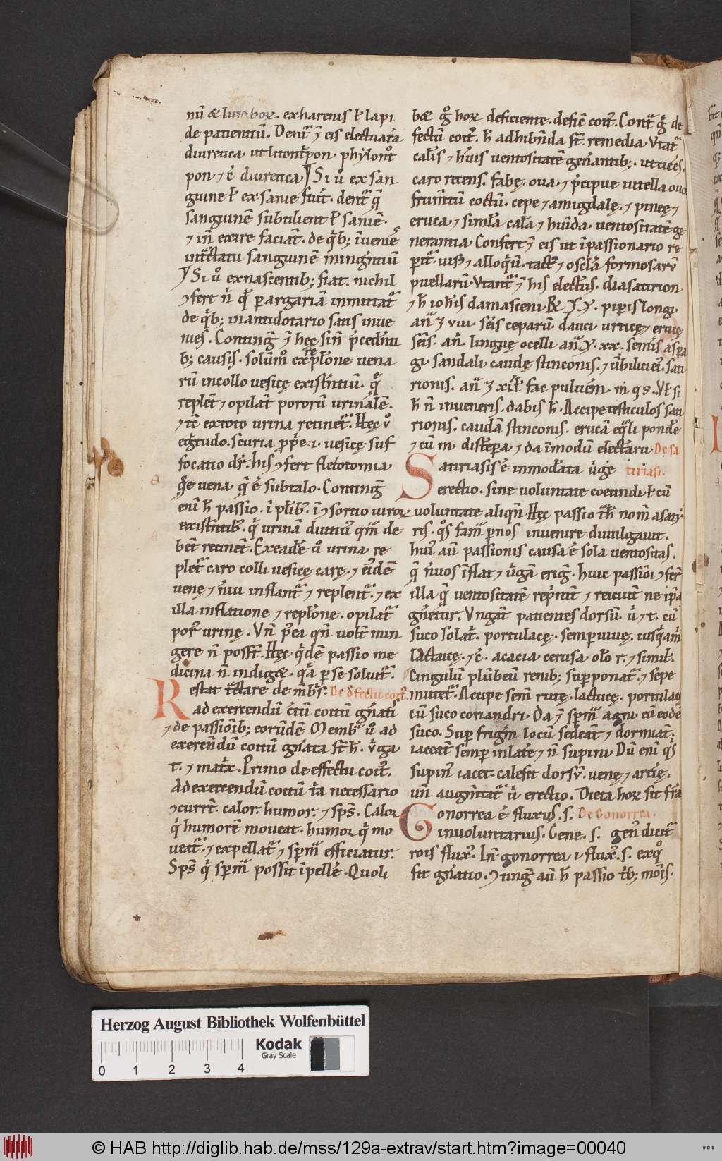 http://diglib.hab.de/mss/129a-extrav/00040.jpg