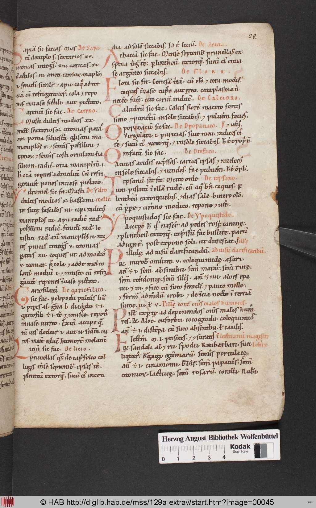 http://diglib.hab.de/mss/129a-extrav/00045.jpg