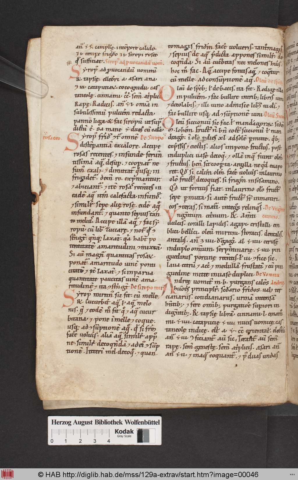 http://diglib.hab.de/mss/129a-extrav/00046.jpg