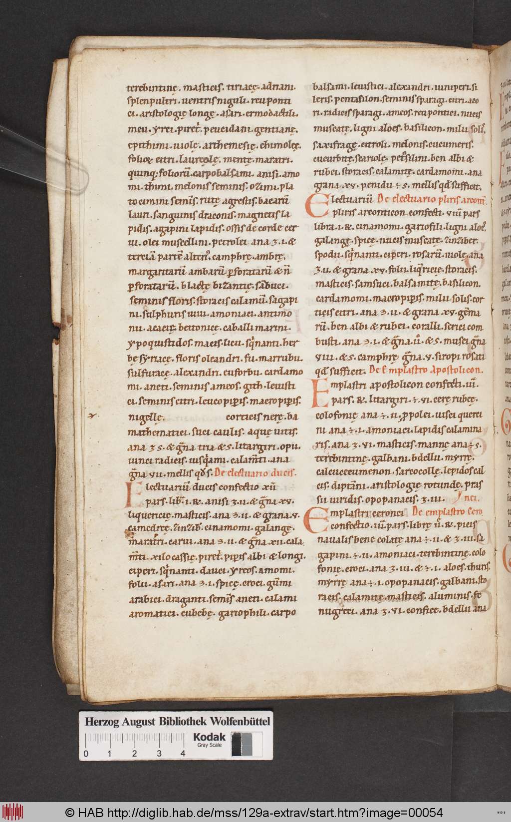 http://diglib.hab.de/mss/129a-extrav/00054.jpg