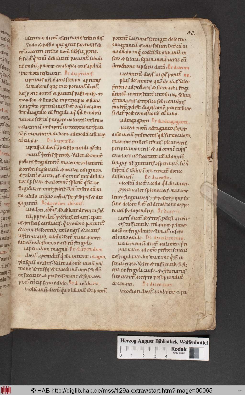 http://diglib.hab.de/mss/129a-extrav/00065.jpg