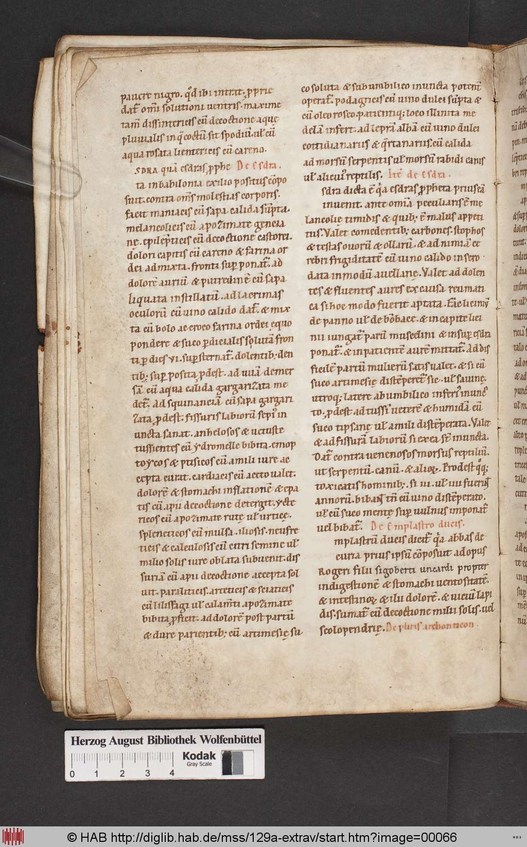 http://diglib.hab.de/mss/129a-extrav/00066.jpg