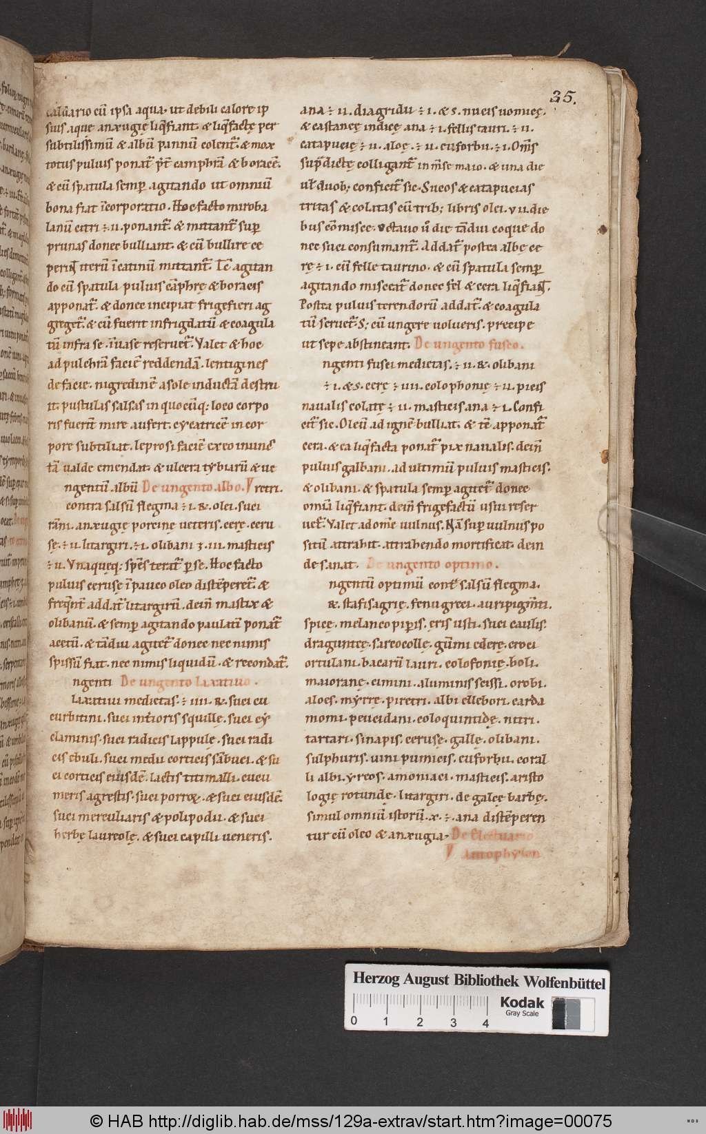 http://diglib.hab.de/mss/129a-extrav/00075.jpg