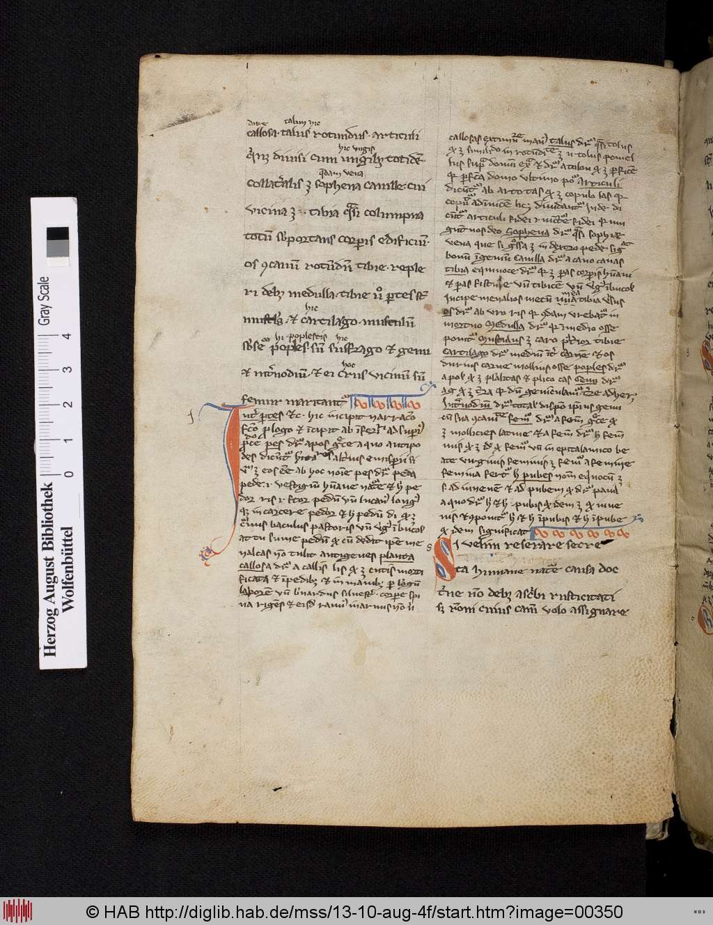 http://diglib.hab.de/mss/13-10-aug-4f/00350.jpg